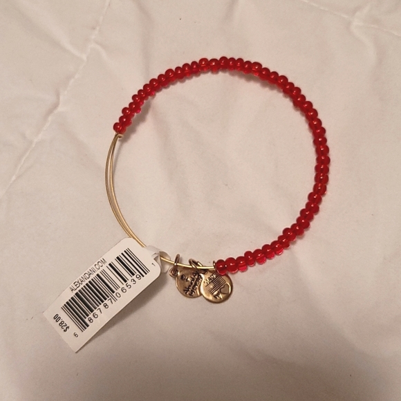 Alex and Ani Red Bangle - Picture 1 of 3